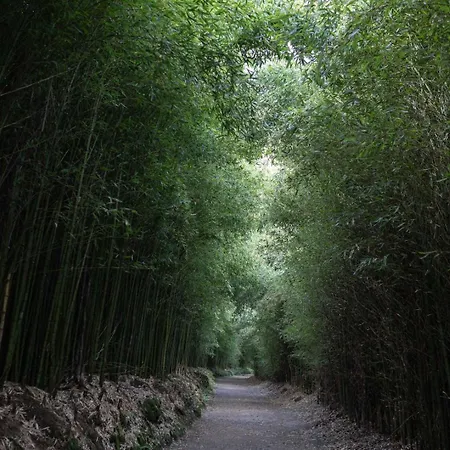 Quinta D'agua 4* פורנס